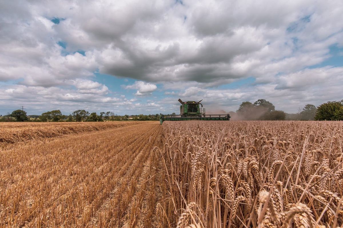 Why the new English Whisky GI is a victory for British farming, and true Single Estate craft - Aedda's Farm Distillery